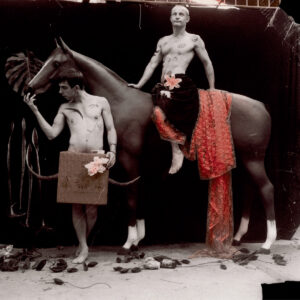 Ray Cook, Wynios³y ksi¹¿ê / A Prince Imperial
