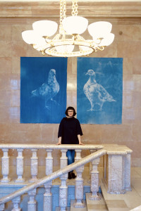 Kamila Kobierzyńska, Pigeon’s Tale, portrety gołębi, cyjanotypia na jedwabiu, fot. Maciej Kaczyński