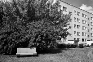 Wojciech Karliński, Olsztynek