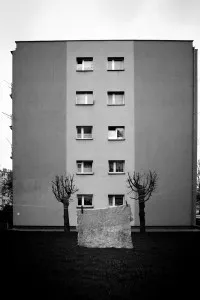 Wojciech Karliński, Staszów