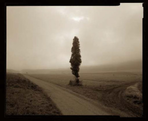 Rafał Swosinski, Wambierzyce, 1996