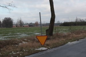 Zapowiednia, 14.01.2018