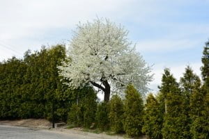 Pyzdry, 30.04.2022