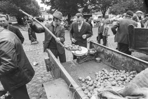Dzień powszedni, Gniezno 1979-89